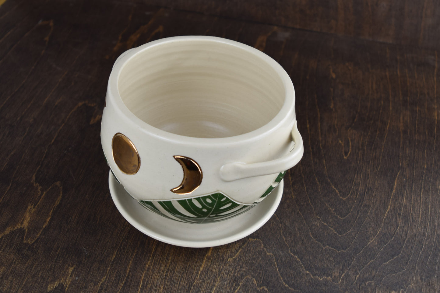 Gold Moon Monstera Cauldron Planter