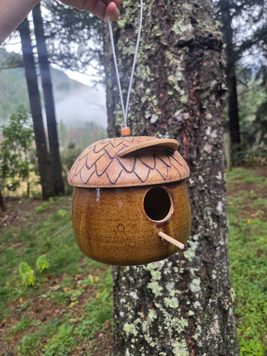 Acorn Birdhouse w/ Roof
