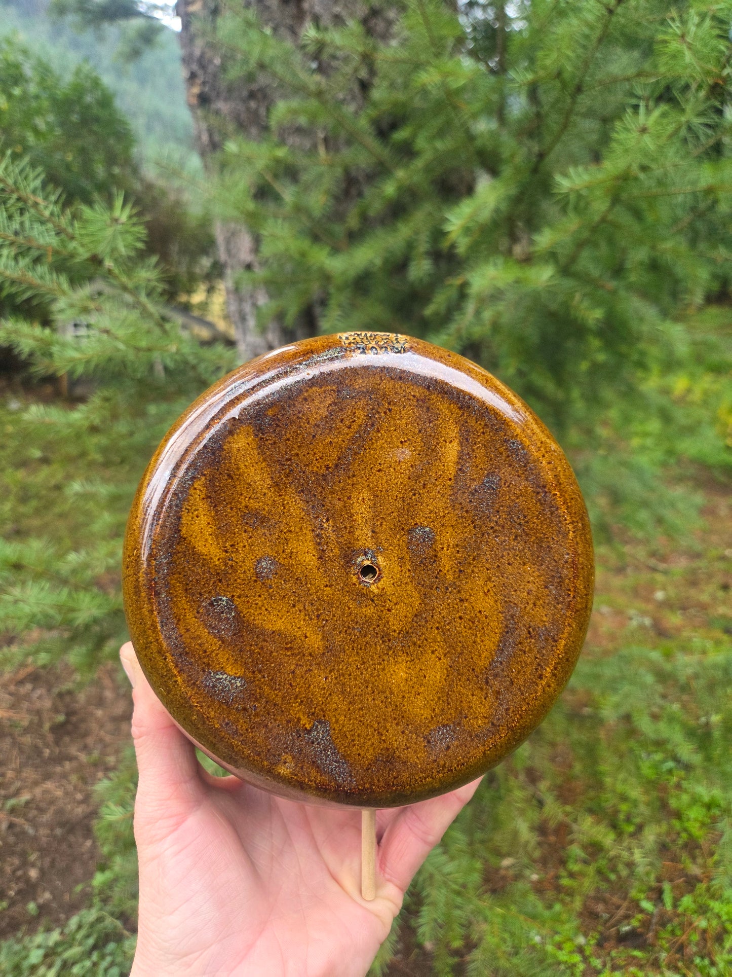 Acorn Birdhouse w/ Roof