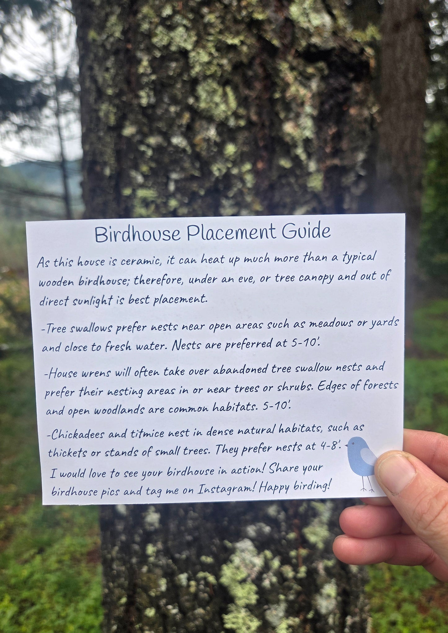 Acorn Birdhouse w/ Roof