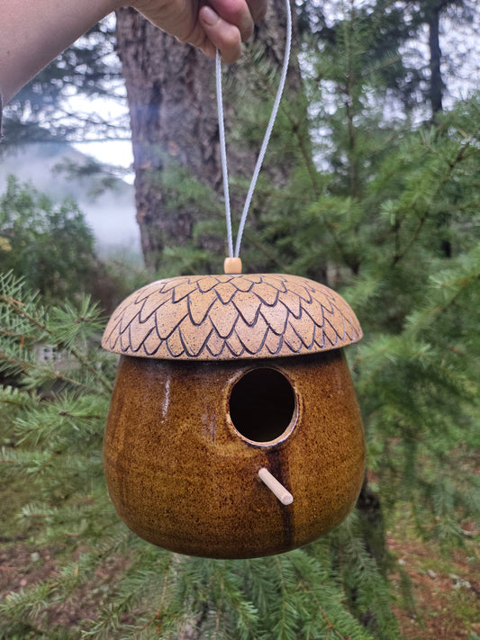 Acorn Birdhouse